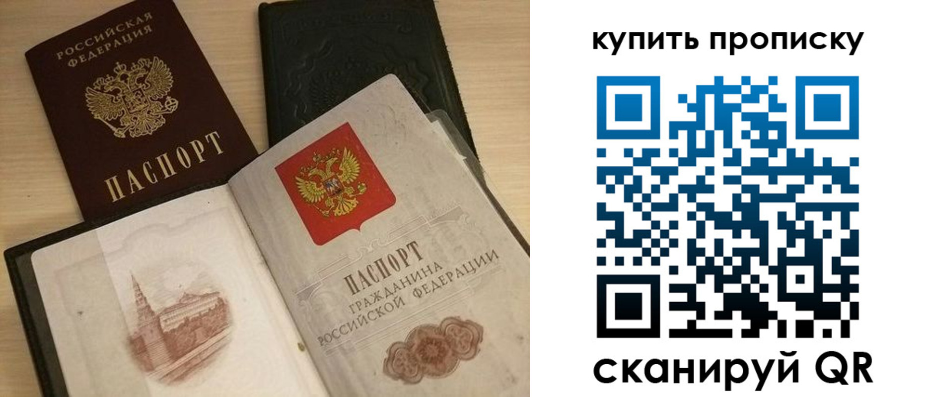 прописка гарантия в Зверево